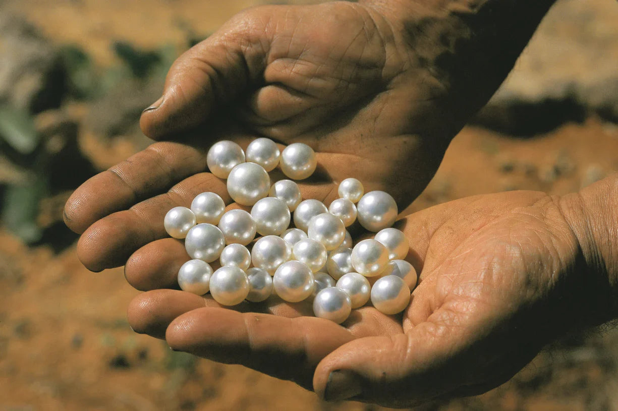 Anaash - The Hub of Pearls